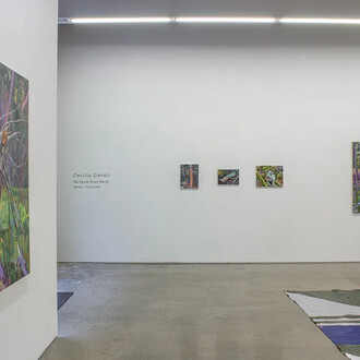 Cecilia Danell, The upside down world, exhibition view. Courtesy of Kevin Kavanagh