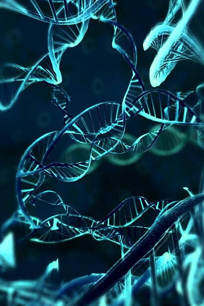 La ricerca scientifica alla base degli studi