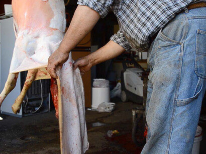 Tutta la mia roba, 2015 Capture du film, vidéo HD 1080P, 11 min