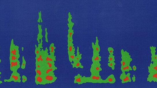 Décio Pignatari. Courtesy of Galeria Millan