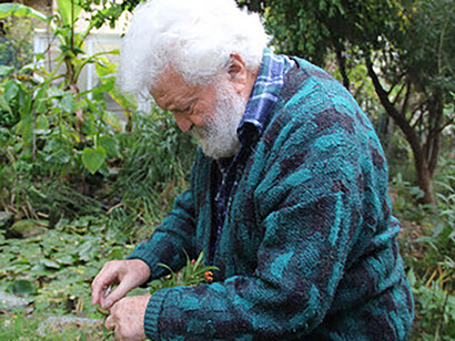 Libereso Guglielmi