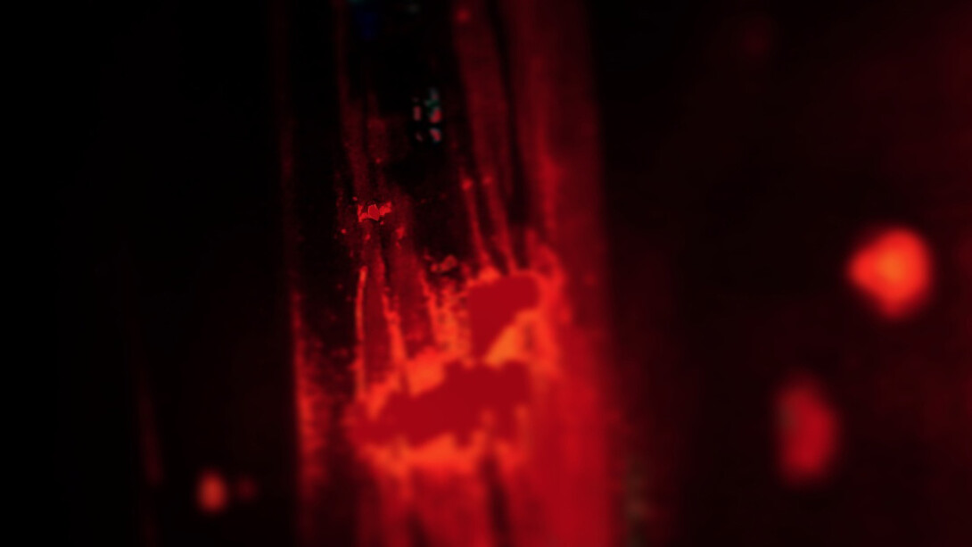 Carlotta Gussoni Filocamo. Courtesy of MADE4ART