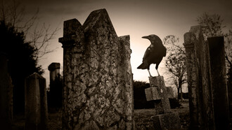 Varios idiomas tienen bonitas expresiones para decir que a veces los cadáveres siguen vivos (Foto: cementerio)