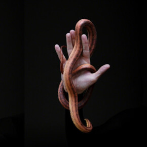 Conatus. Courtesy of PPOW