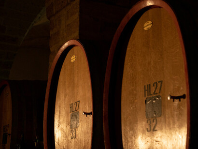 Barriles de vino de una prestigiosa bodega en Apulia, Italia