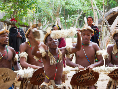 As they sing and dance, these warriors celebrate the rich history of the Zulu nation, embodying the spirit of unity and resilience that defines their community