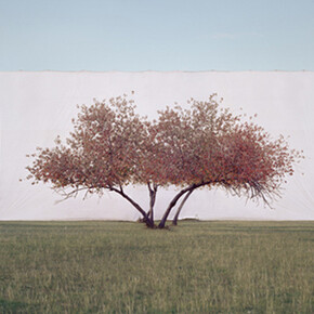 Visions of Nature. Courtesy of Kunst Haus Wien