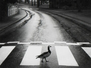 Warm Regards. Courtesy of Photo-eye Gallery