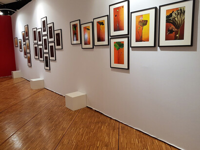 Keiichiro Muramatsu. Courtesy of Galerie marie-robin