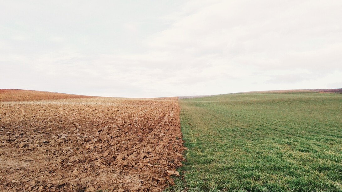 Prosperity and aridness