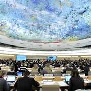The Human Rights Council