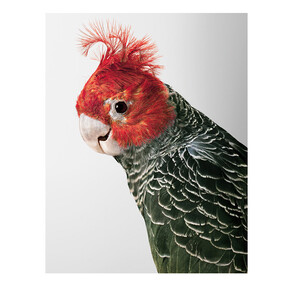 Leila Jeffreys. Courtesy of Purdy Hicks Gallery