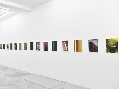 Thomas Fougeirol. Courtesy of Praz-Delavallade