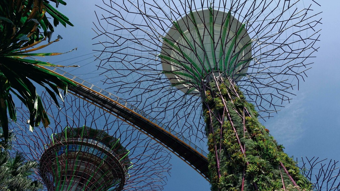 A low-angle shot of the iconic Supertrees at Gardens by the Bay, Singapore, Singapore