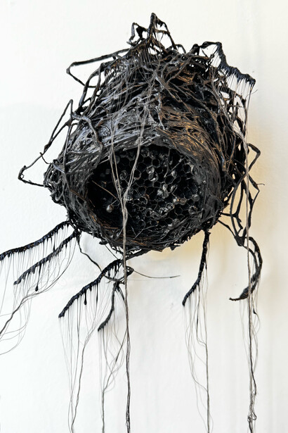 Daniella Dooling, Firenest (Jennings creek), 2024. Courtesy the artist and Bill Arning Exhibitions