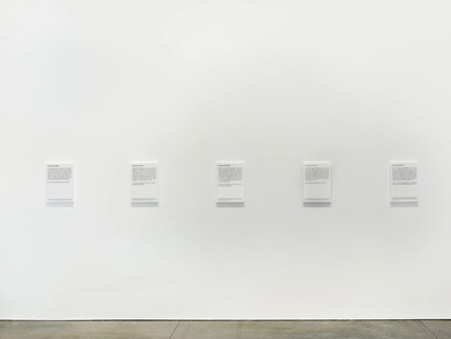 Daniel Joseph Martinez, States of being, exhibition view. Courtesy of Marian Goodman Gallery