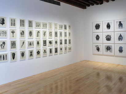 Structures of Identity. Courtesy of Museo Amparo