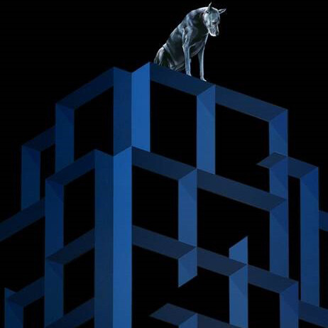 Gerard Ellis, Perros Mudos