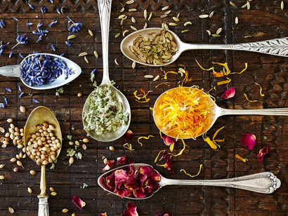 Evidence that calorie restriction retards aging and extends median and maximal life span was first presented in the 1930s