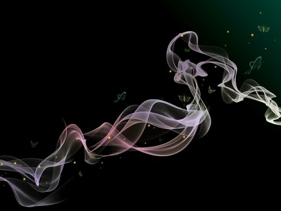 All persons who had reached the age of 120 were supposed to be vaporised