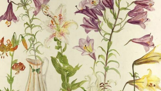 Elizabeth Blackadder, Still Life with Flowers and Leaves, watercolour, W:77cm H:58cm