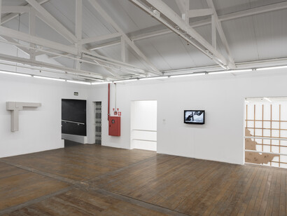 Enrique Ježik. A Razão e a Força