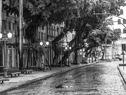 Recife Antigo. A cidade do Recife é conhecida por sua paisagem singular banhada por águas. Para tanto, a pesca, depois do açúcar, foi uma atividade de grande importância na construção social da citada cidade. Em sua maioria escravizados, os pescadores no exercício de trabalhos manuais e braçais, fizeram da pesca artesanal em rústicas jangadas, o seu sustento. E, quando o poder público ainda não estava organizado em relação à política de cidadania e direitos humanos, Recife se formou entre sobrados e mocambos em detrimento de uma nova ordem urbana, social e econômica