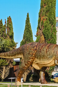 Dino Parque da Lourinhã, o maior exposição temática ao ar livre da Europa, com 10 hectares, sendo ainda composto por cinco diferentes percursos que permitem aos visitantes observar mais de 180 modelos de espécies de dinossauros à escala real, bem como animais que habitam o planeta terra desde há 450 milhões de anos. Mais do que um destino turístico, a Lourinhã representa um testemunho vivo da evolução histórica do território português, desde os primórdios da civilização até ao presente