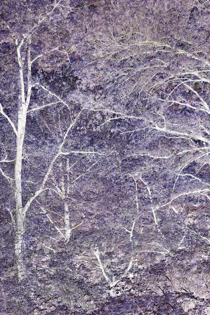 Justin Brice Guariglia, Eremo Di Camaldoli, Tuscany (detail), 2026. Courtesy of Flowers Gallery
