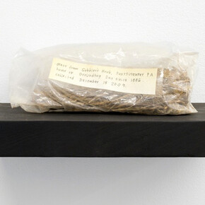 I Want to believe. Courtesy of Proto Gallery