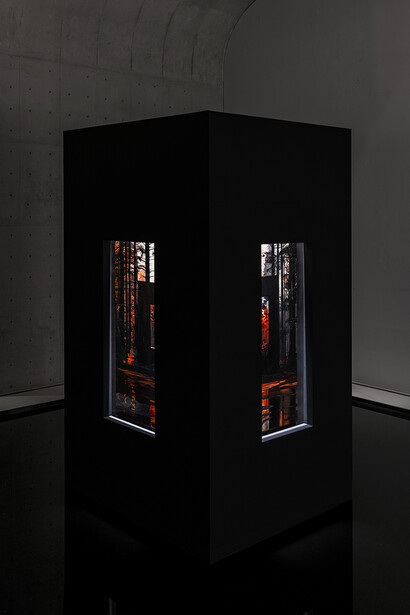 Yang Bodu, Black eagle, white eagle, exhibition view. Courtesy of Long Museum