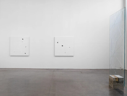 Daniel Steegmann Mangrané, Uma folha translúcida no lugar dos olhos, exhibition view. Courtesy of Mendes Wood DM 