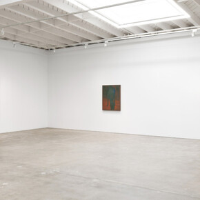Shota Nakamura, Apple, exhibition view. Courtesy of Karma Gallery