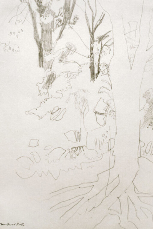 Fairfield Porter, Amherst and Other Places. Courtesy of Betty Cuningham Gallery