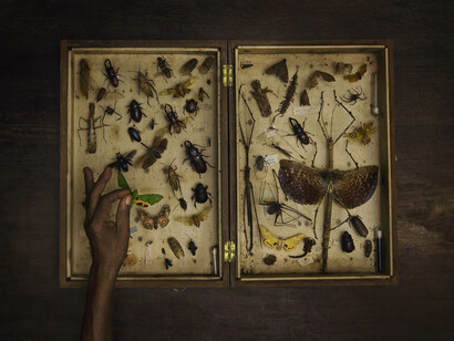 Evgenia Arbugaeva, Untitled #50 from Amani, 2016. © Evgenia Arbugaeva, Courtesy of The Photographers' Gallery