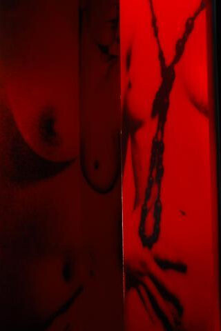 Stories and Phenomena. Courtesy of City Gallery