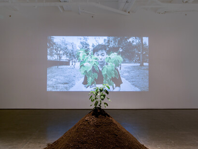 Lí Wei. Courtesy of Klein Sun Gallery 