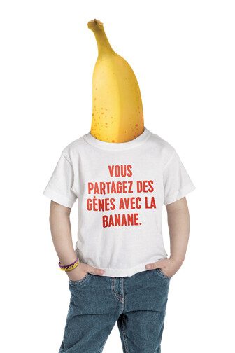 Human. Courtesy of Centre Des Sciences De Montréal