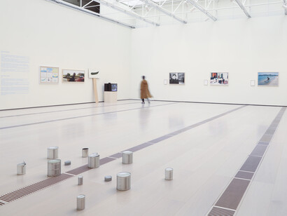 Shimabuku, Poulpe, agrumes, humain, vue d'exposition. Courtoisie du Centre Botín