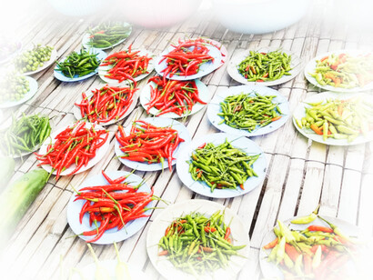 The many different kinds of chili peppers from Thailand