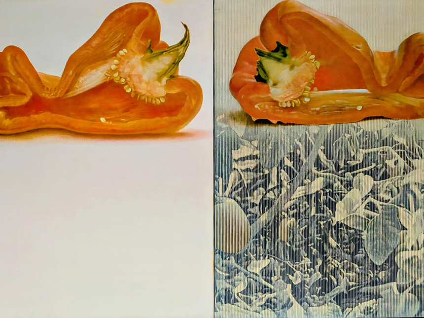 Travels in Hyperreality at MACA