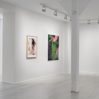 Annika Elisabeth von Hausswolff, A song for Europe, exhibition view. Courtesy of Andréhn-Schiptjenko © Alexandra de Cossette