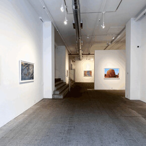 Sally Gall, Vertical world, exhibition view. Courtesy of Winston Wächter Fine Art 