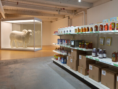 Osman Khan, Road to hybridabad, exhibition view. Courtesy of MASS MoCA 