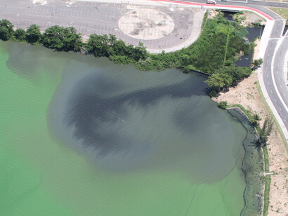 Esgoto sem tratamento chegando por todos os rios que desaguam nas lagoas da região (foto de Mario Moscatelli, Janeiro 2017)