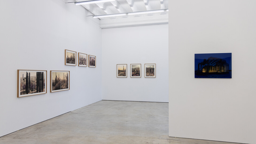 Various artists, The art of renewal, exhibition view. Courtesy of Persons Projects 