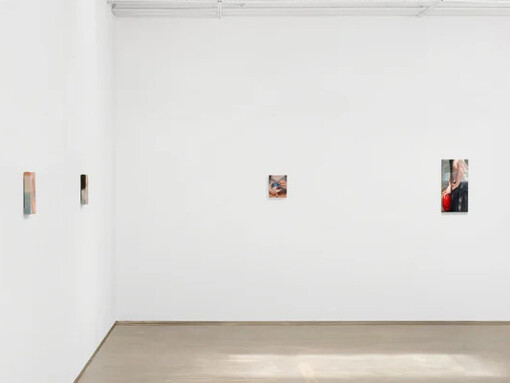 Jesse Zuo, Photosynthesis, exhibition view. Courtesy of Piero Atchugarry Gallery
