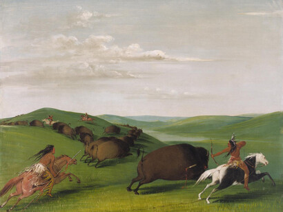 Picturing the American Buffalo. Courtesy of SAAM
