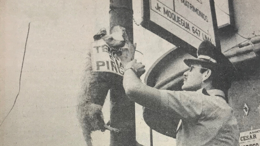 El texto que acompaña esta fotografía reza: "En el Perú hay una organización que se considera en guerra contra todos -perros inclusive- trasladando al medio local los problemas de Teng Siao Ping, a cuya progenie se refiere abundantemente. No se ha explicado al resto de los mortales lo que tiene que ver en el embrollo"