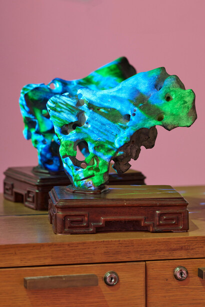 Pipilotti Rist, Prickling Goosebumps & Humming Horizon, Installation view. Pictured: 尊重香港供石 <Respect Scholarly Rock Hong Kong>, 2022. Courtesy of Luhring Augustine Chelsea, New York.